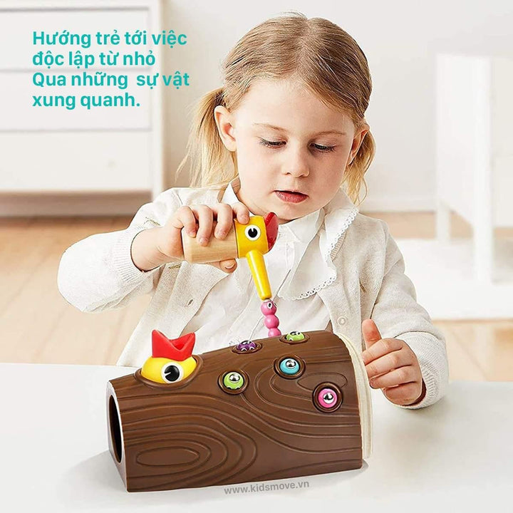 Bộ đồ chơi nam châm Chim gõ kiến bắt sâu TOPBRIGHT - Kidsmove - Thế giới xe của bé